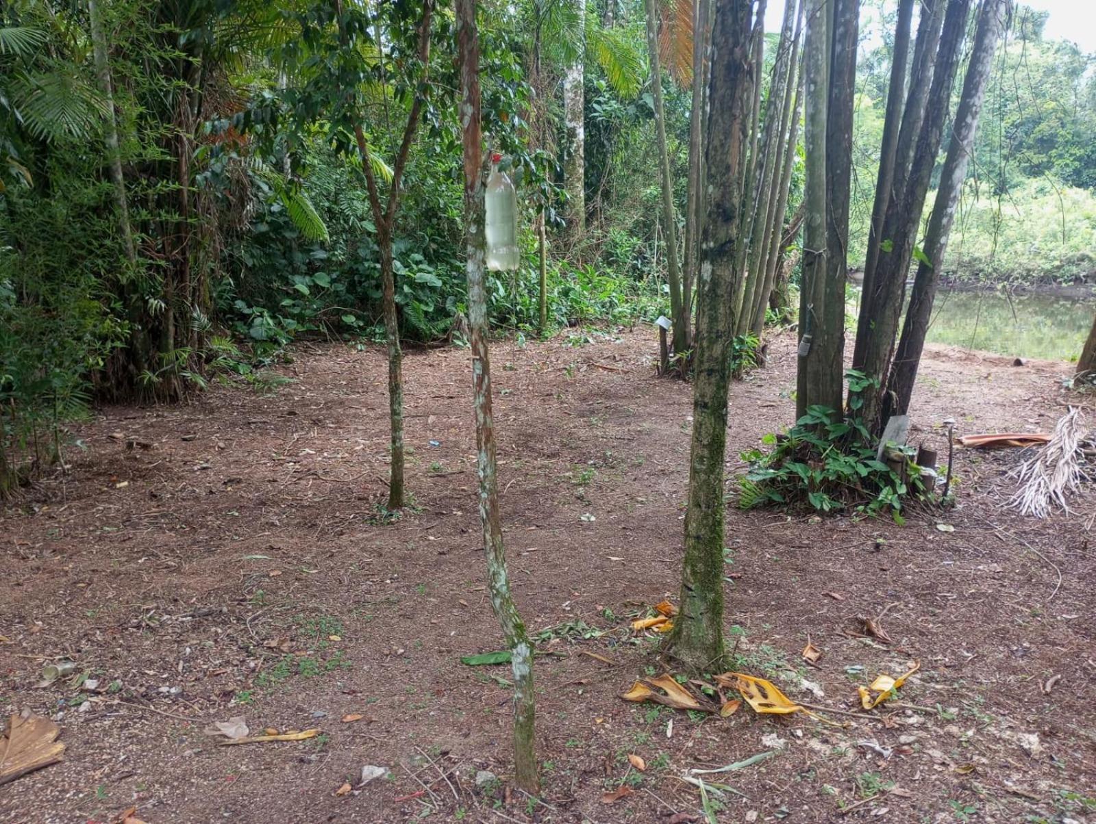 Camping Monte Hermom Ubatuba Bagian luar foto